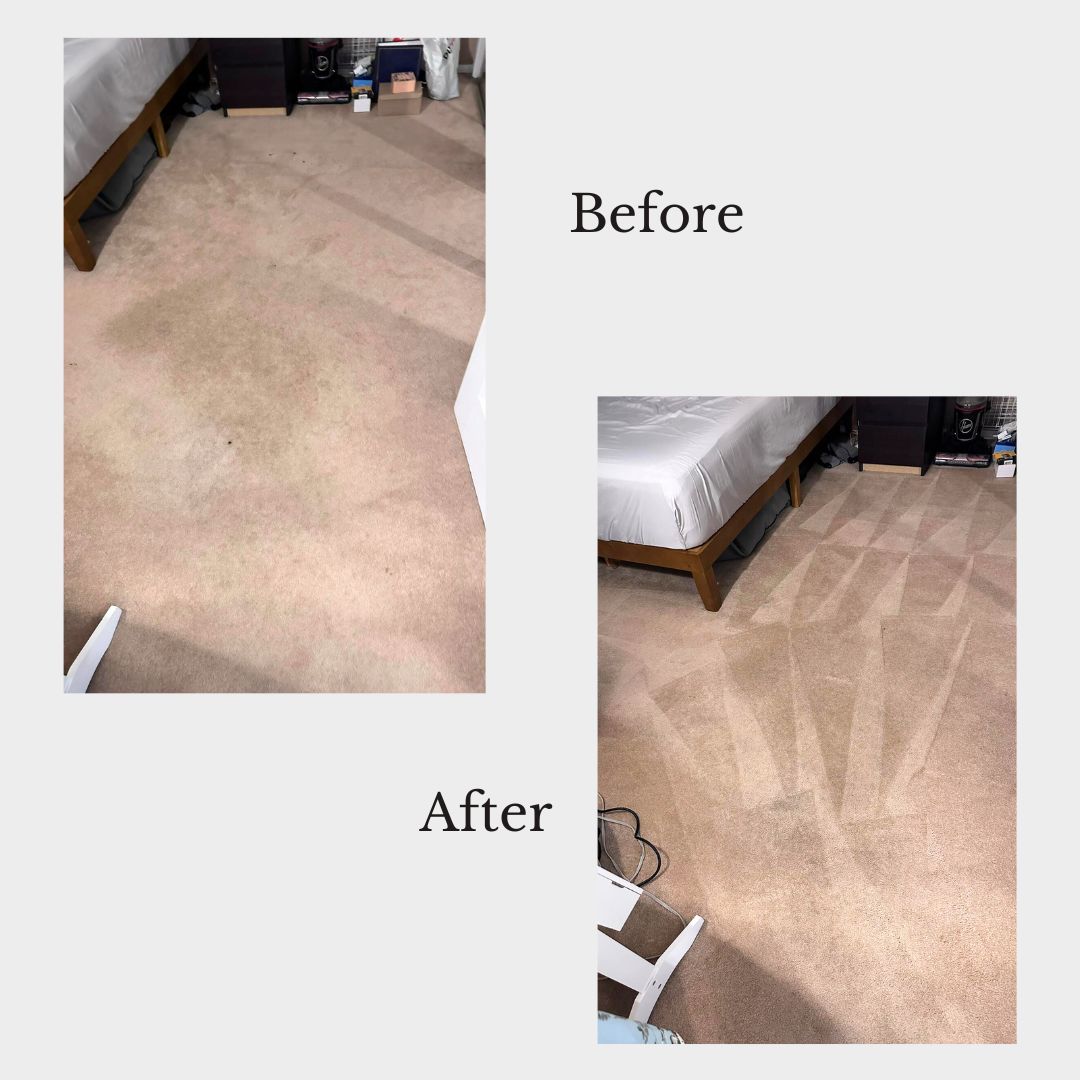 Gallery PristineGreen Upholstery and Carpet Cleaning